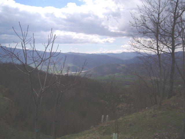 p4120144.jpg