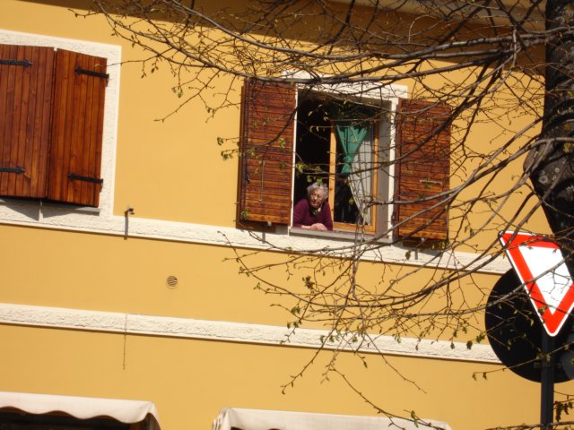 photo25.jpg