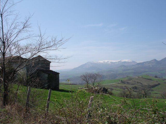 photo9.jpg