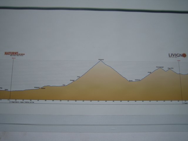 a015.jpg