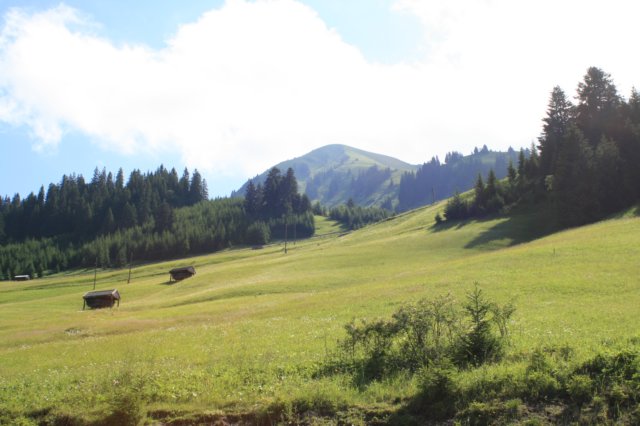 photo7.jpg
