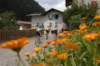 blommor_small.jpg