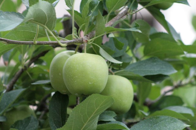 photo23.jpg