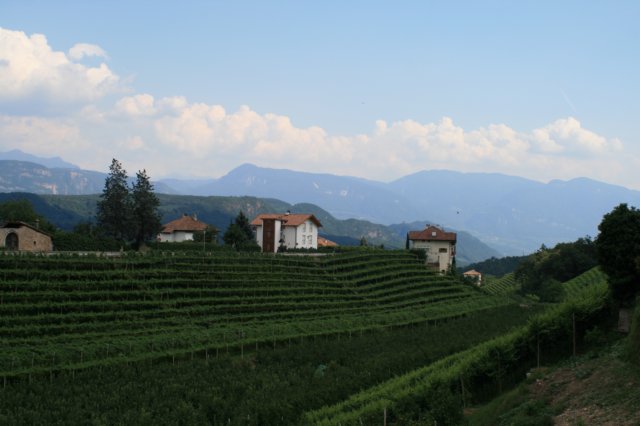 photo7.jpg