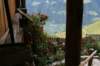 photo10_small.jpg