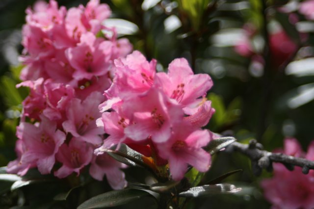 photo6.jpg