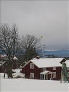 IMG_6517