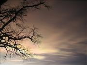 IMG_6584
