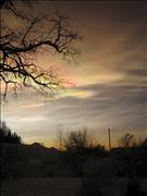 IMG_6588