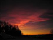 IMG_6591