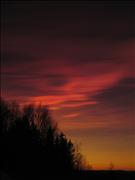 IMG_6595