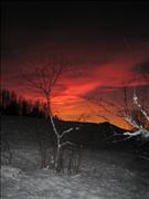 IMG_6596