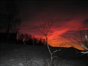 IMG_6598