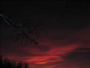 IMG_6604